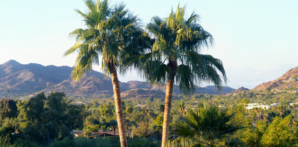 Exploring Scottsdale, Arizona: A Desert Oasis of Art, Adventure, and Golf